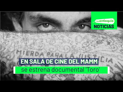 En sala de cine del Mamm se estrena documental 'Toro' - Teleantioquia Noticias