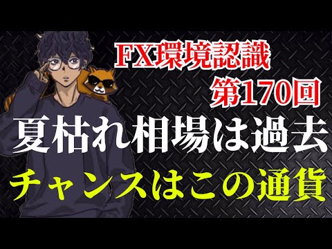 【FX環境認識第170回】大荒れのドル円相場！チャンス通貨はこれだ！夏枯れ相場は過去の事。パウエル会見、ジャクソンホール、日銀利上げ観測、株価大相場など　FX ドル円　ユーロドル　ユーロ円　ポンド円