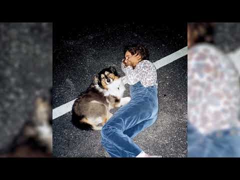 The Growlers - "No Trouble" (Official Audio)