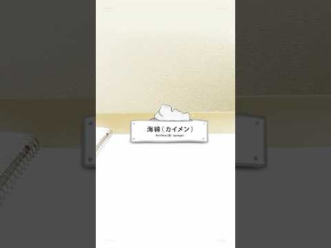 【ふしぎな生物たち】海綿(カイメン) / No.005 #shorts #アニメ