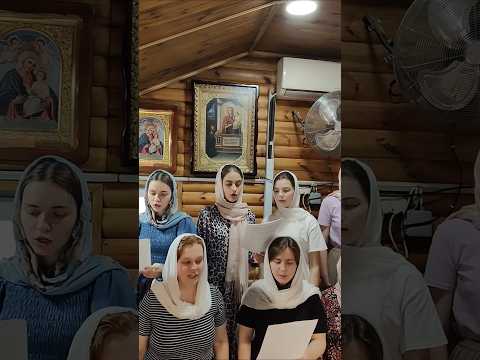 🕊️🌿Тропар Трійці🌿🕊️ #хор