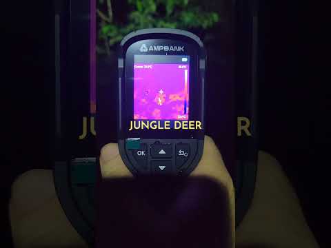 thermal vision night hike