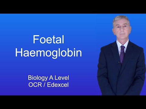 A Level Biology Revision “Fetal Haemoglobin (OCR/Edexcel).