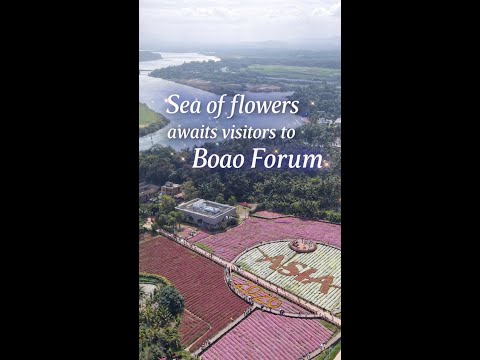 Sea of flowers awaits visitors to Boao Forum
