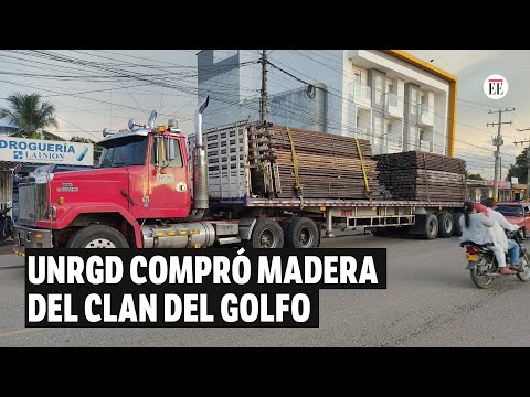 Así fue como la UNRGD terminó comprando madera deforestada por el Clan del Golfo | El Espectador