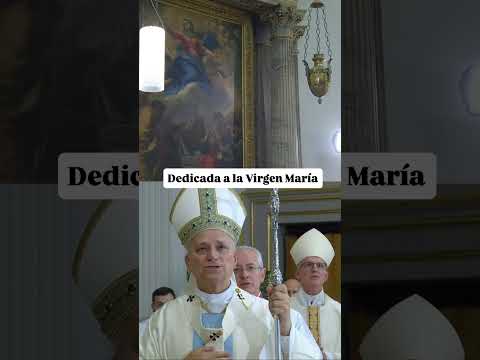 La emotiva reacción del Papa León XIV en la solemnidad de la Asunción de la Virgen María