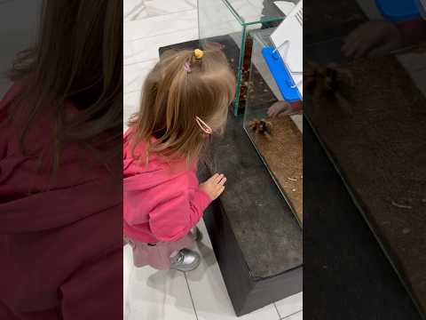 Как развить страх 🤦‍♀️ Ох уж эти папы #babygirl #smile #дети