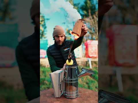 Globe Artichoke Burning in Smoker