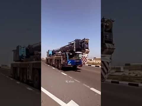 #Crane Lover