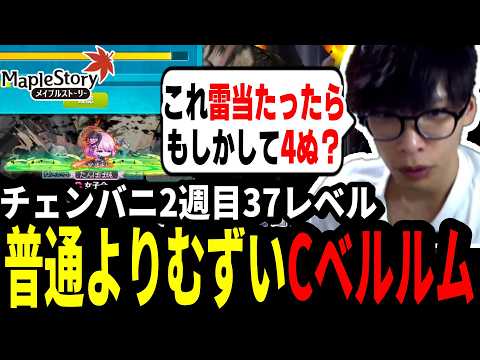 チェンジバーニング2週目、37レベルでCベルルムに挑んでみるいかしょー【メイプルストーリー】