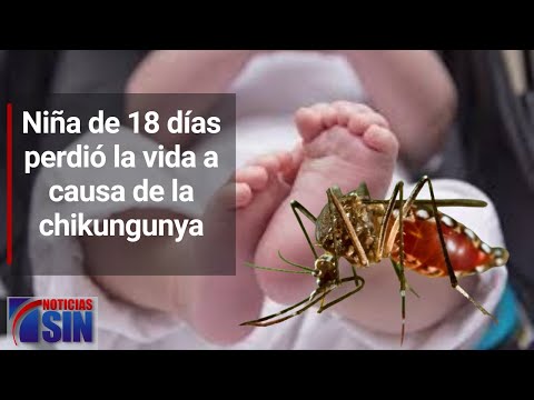 #SINyMuchoMás: Chikungunya, peces y arroz