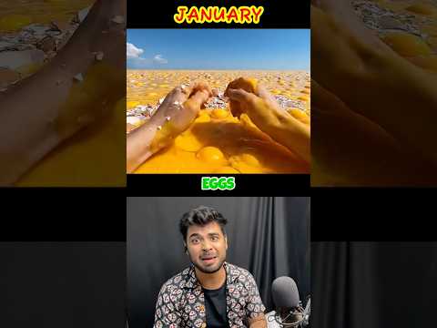 Your Birth Month Your Ocean🏊