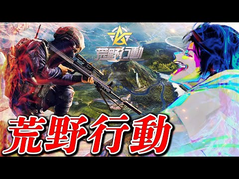 【荒野行動】peak部