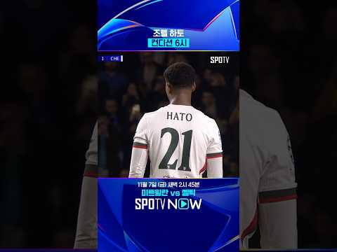 하토 나오네 진짜 