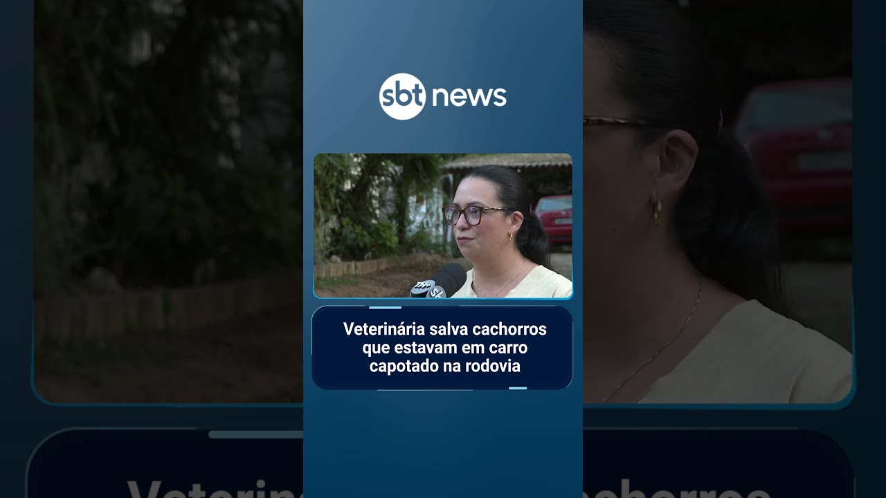 Veterinária salva cachorros que estavam em carro capotado na rodovia | #SBTNotícias