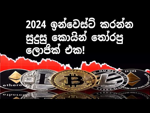 How to Select Cryptocurrencies Fundamentally in 2024 | Top Tips & Strategies Solana BNB TRX DOT BTC