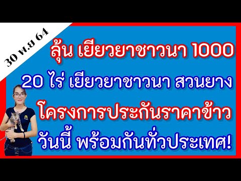 ลุ้น​เยียวยาชาวนา​1000​บาท​