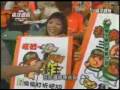 2008統一獅連霸棒球週報