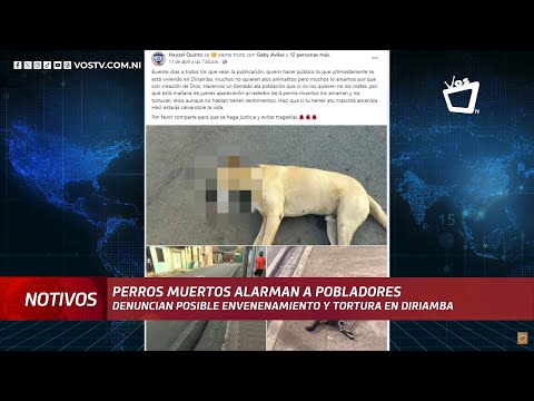Pobladores de Diriamba denuncian aparaciones de perros sin vida