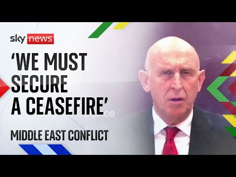 Middle East 'can't afford another year like the last', says defence secretary | Middle East conflict