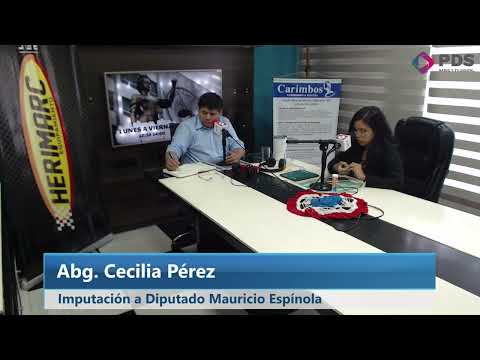 Abg. Cecilia Pérez - Defensa del Diputado Mauricio Espínola - Caso Marito