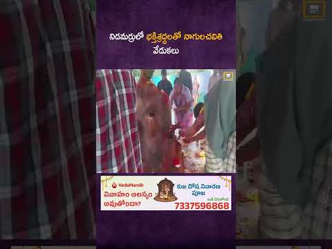 నిడమర్రులో భక్తిశ్రద్దలతో నాగులచవితి వేడుకలు