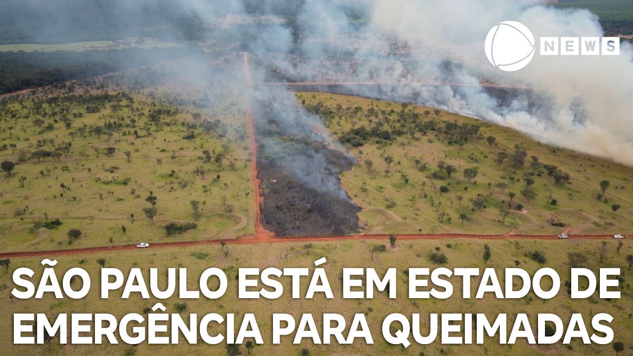 São Paulo está em estado de emergência para queimadas