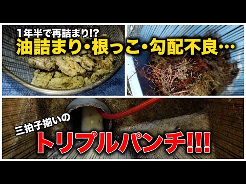ガチガチに流れない台所！原因はトリプルパンチ？油詰まり・根っこ・勾配不良！【花のお掃除 #359】