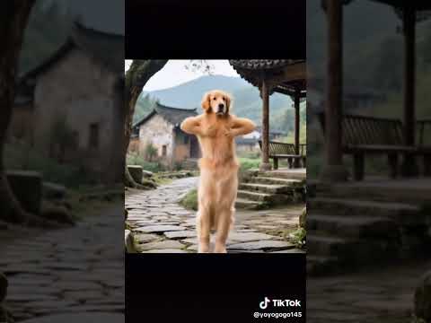 Dog Dance #dogdance #viralvideo #inteligenciaartificial #dogdancing #song #shorts