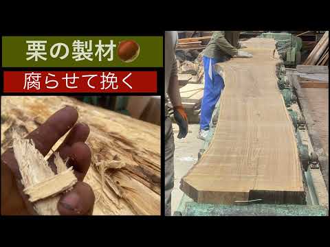 	栗の製材。腐らせて挽く木