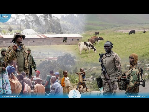 RDC:  L'AFC-M23 VS POPULATION À SHANJE-KALEHE , UNE ROUTE CONSTRUITE POUR DÉSENCLAVE LA ZONE