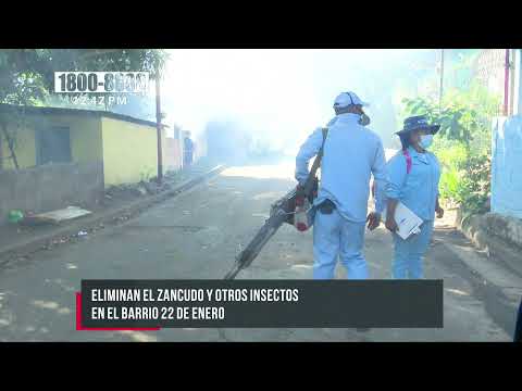 Llegó la fumigación al barrio 22 de Enero, Managua, para erradicar zancudos - Nicaragua