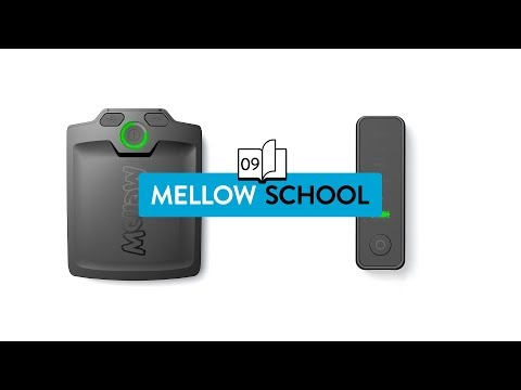 Mellow School: Beeps, Buzzes & Light Signals