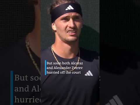 Bees invade tennis court at the Indian Wells tournament | DW News