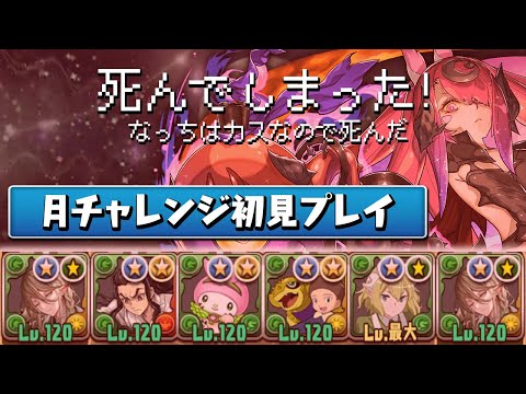 【アクシデント多数】嫌な予感しかしない初見の月チャレンジ【パズドラ】