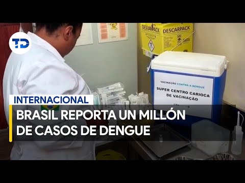 Casos de dengue en Brasil: confirman 214 muertes en lo que va de 2024