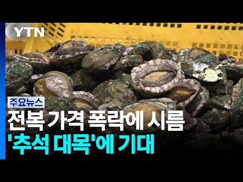 가격 폭락에 시름...<strong>완도</strong> 전복 '추석 대목'에 기대 / YTN