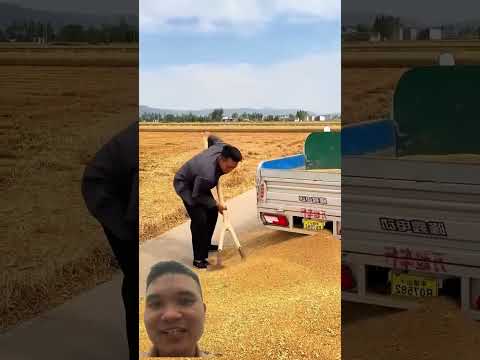 Anh Trai Thông Minh #farm