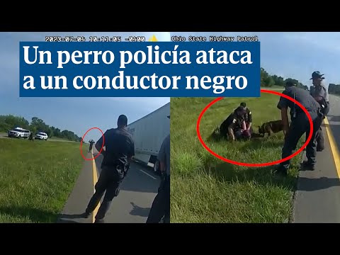 Un perro policía ataca a un conductor negro que no oponía resistencia