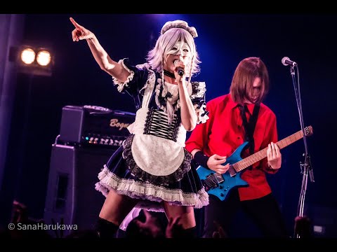 20240818【東方LostWord】LostWord LIVE 2024【石鹸屋】をコメントしながらゆるく見る