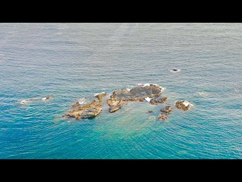 【完全貸切】和歌山の沖磯で爆釣と聞いたのでフカセ釣りに行ってきました