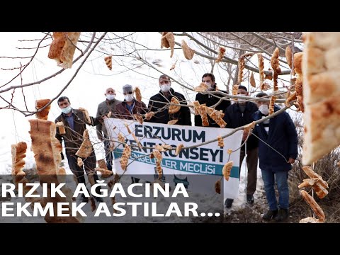 Engelliler, Kuşlar İçin ‘Rızık Ağacı’na Ekmek Astı