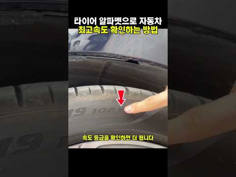 <strong>타이어</strong> 알파벳으로 자동차 최고속도 확인하는 방법
