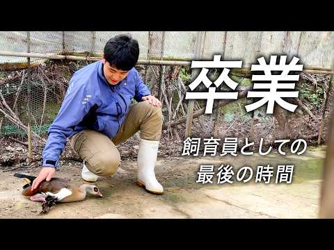 飼育員を卒業します。動物に最後の挨拶をしながら、2年間を振り返ります【池田くん編】
