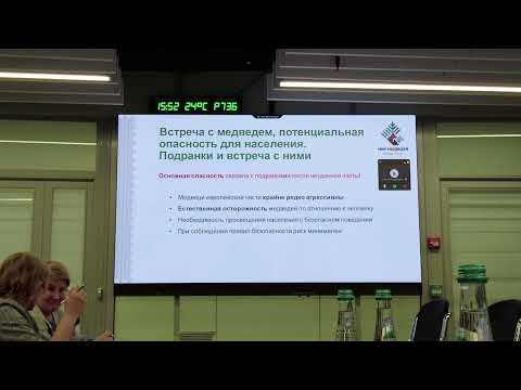 Презентация Фонда благополучия медведей 