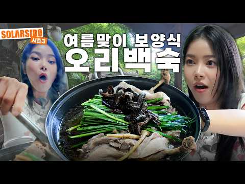 여름맞이 보양식 먹방 (능이오리백숙, <strong>김치전</strong>)