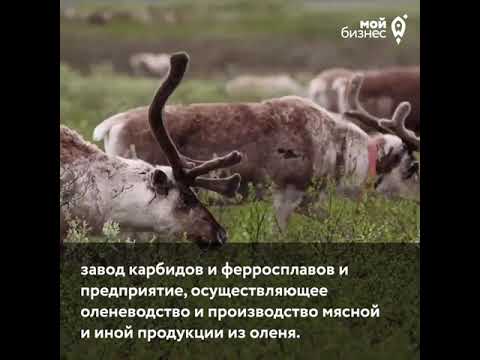 Инта Арктика