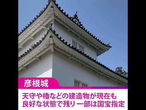 世界遺産NEWS「彦根城を世界遺産候補に正式決定！」