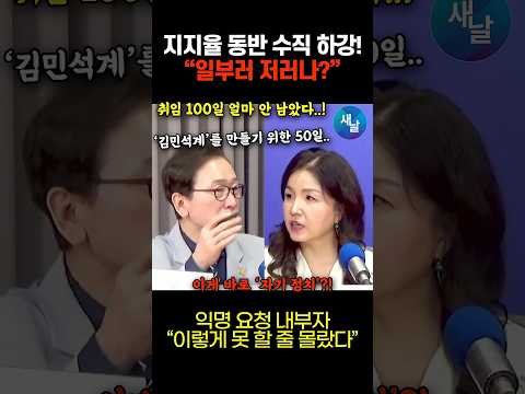 이재명·민주당 지지율 깎아먹은 김민석의 실체  #shorts #새날