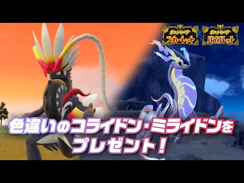 【公式】色違いのコライドン・ミライドンをプレゼント｜『ポケットモンスター スカーレット・バイオレット』で色違いの伝説のポケモンをゲット！